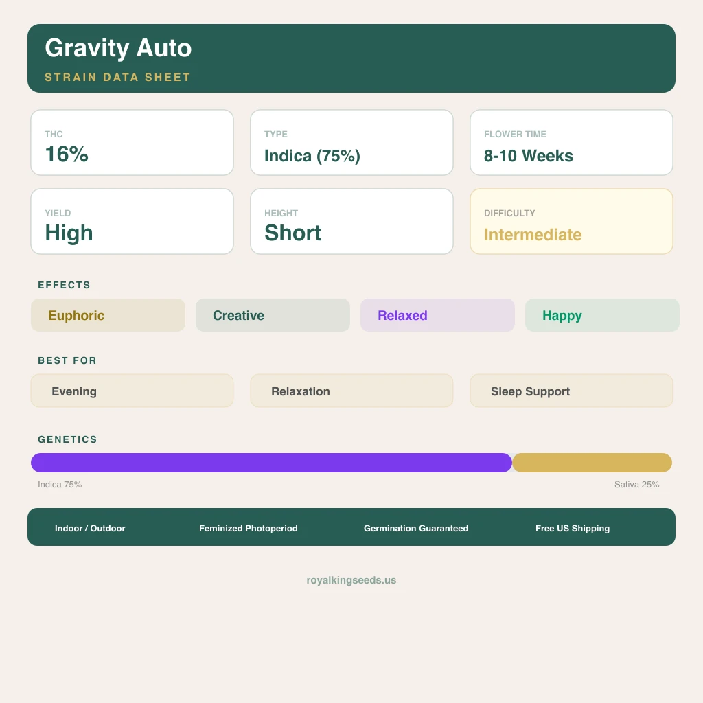 Gravity 75% indica / 25% sativa — flor con tricomas visibles