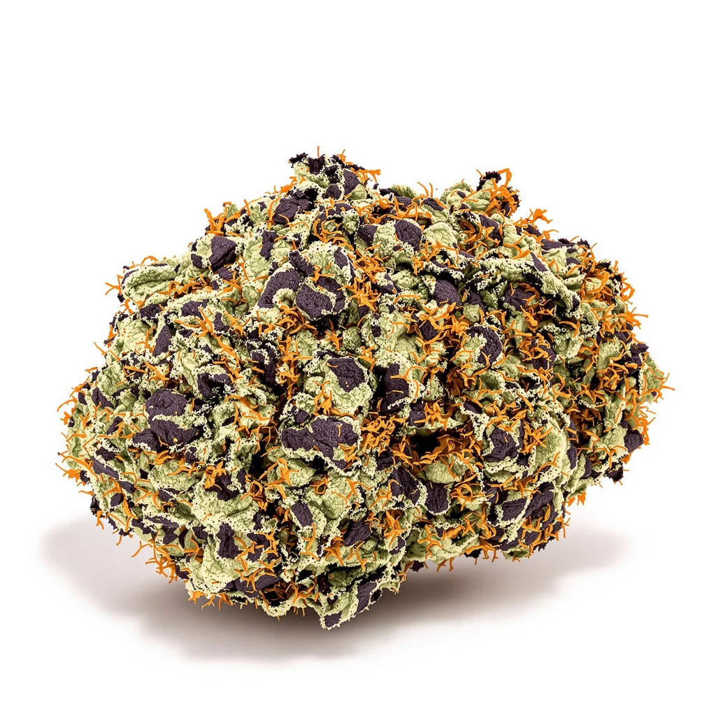 Gravity 75% indica / 25% sativa — flor con tricomas visibles