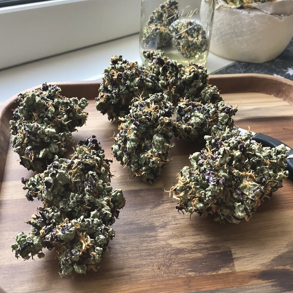 Green Crack Punch 84% indica / 16% sativa — flor con tricomas visibles