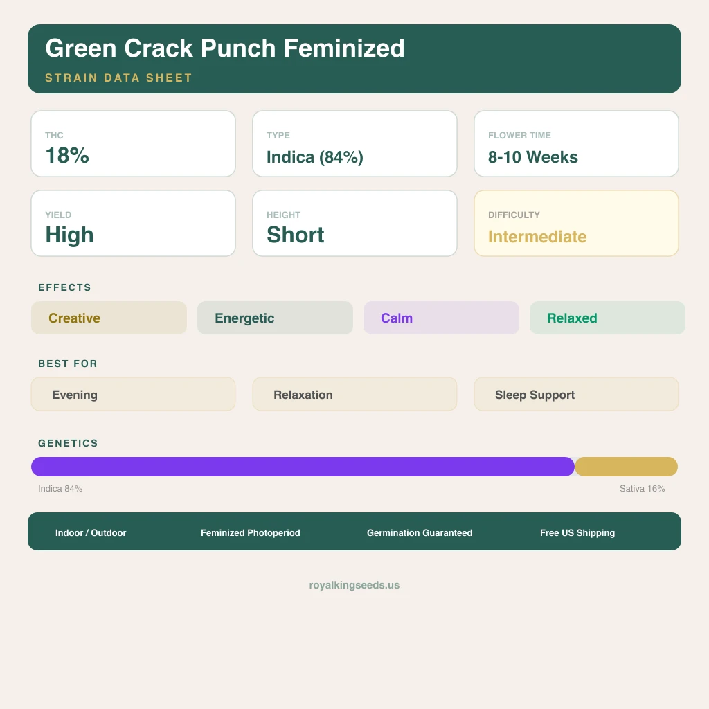 Green Crack Punch 84% indica / 16% sativa — flor con tricomas visibles