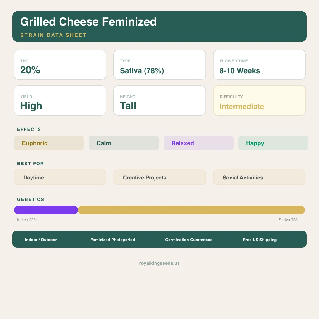 Grilled Cheese 22% indica / 78% sativa — flor con tricomas visibles