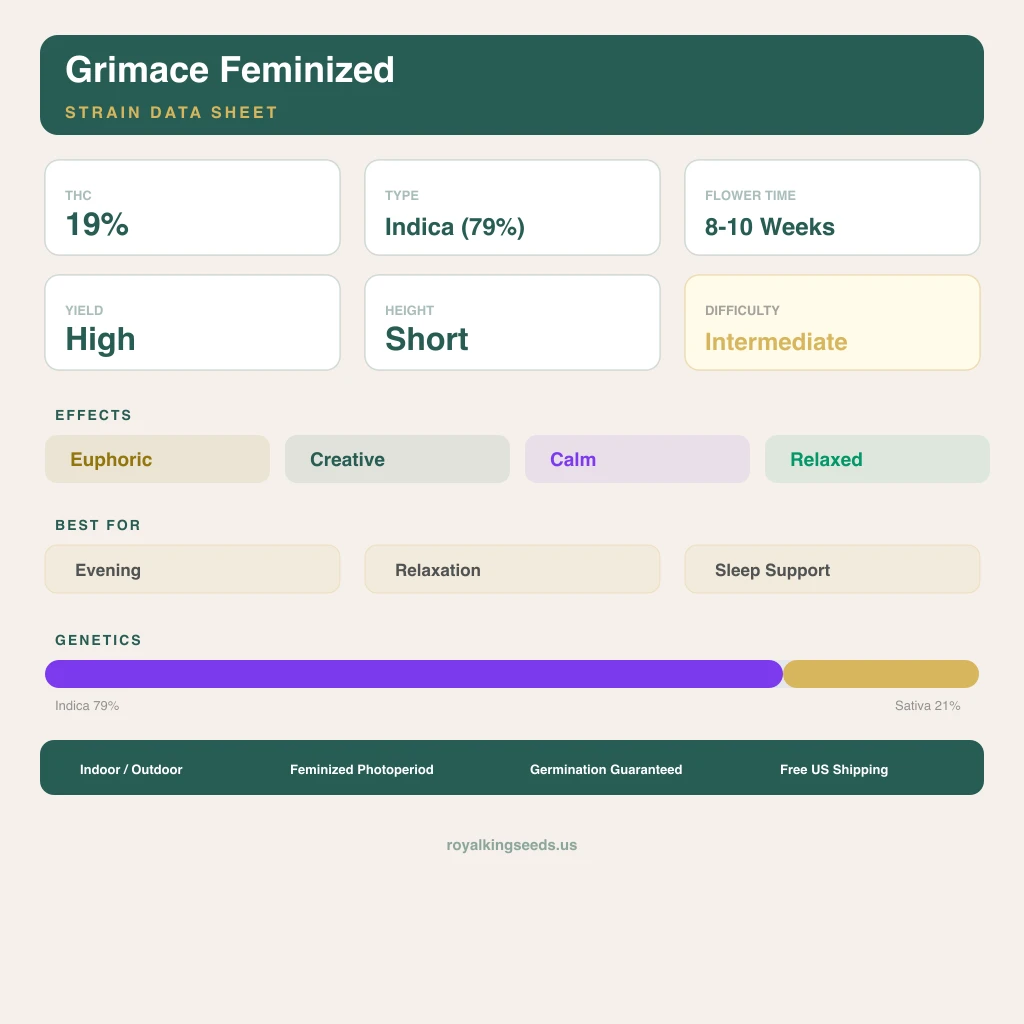 Grimace 79% indica / 21% sativa — flor con tricomas visibles