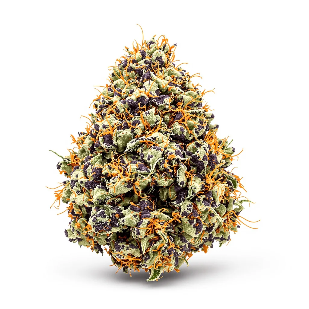 Hammerhead 71% indica / 29% sativa — flor con tricomas visibles