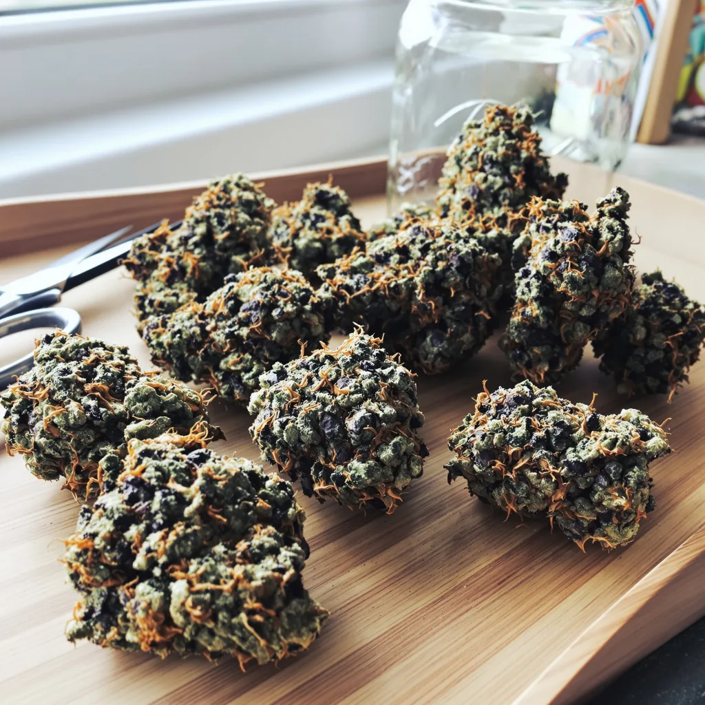 Hashberry 70% indica / 30% sativa — flor con tricomas visibles