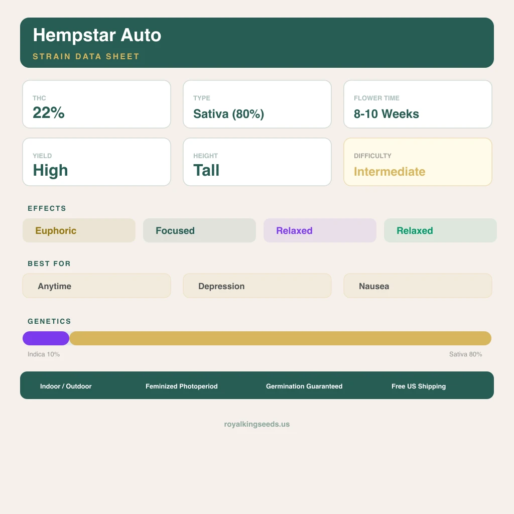 Hempstar 10% indica / 80% sativa — flor con tricomas visibles