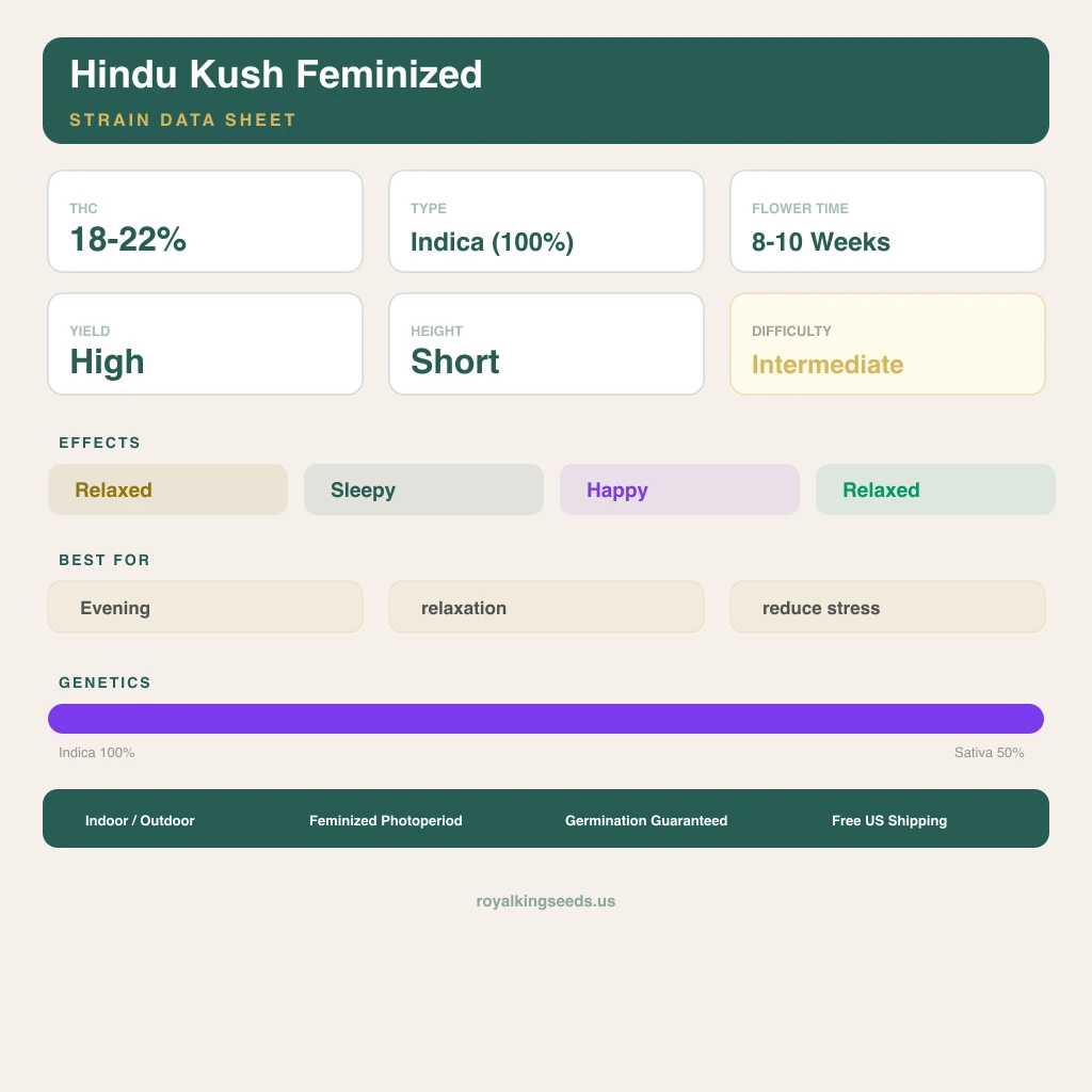 Hindu Kush 100% indica / 50% sativa — flor con tricomas visibles
