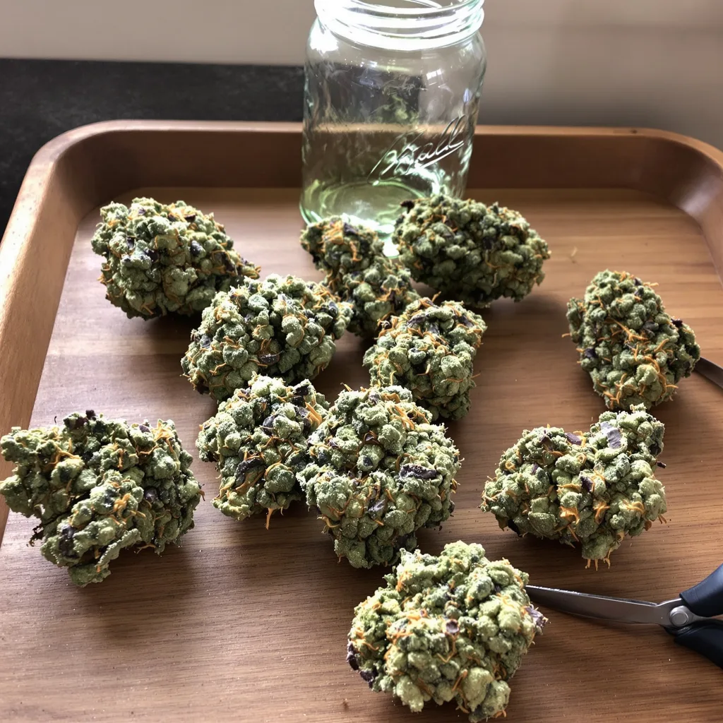 Hippie Crippler 50% indica / 50% sativa — flor con tricomas visibles