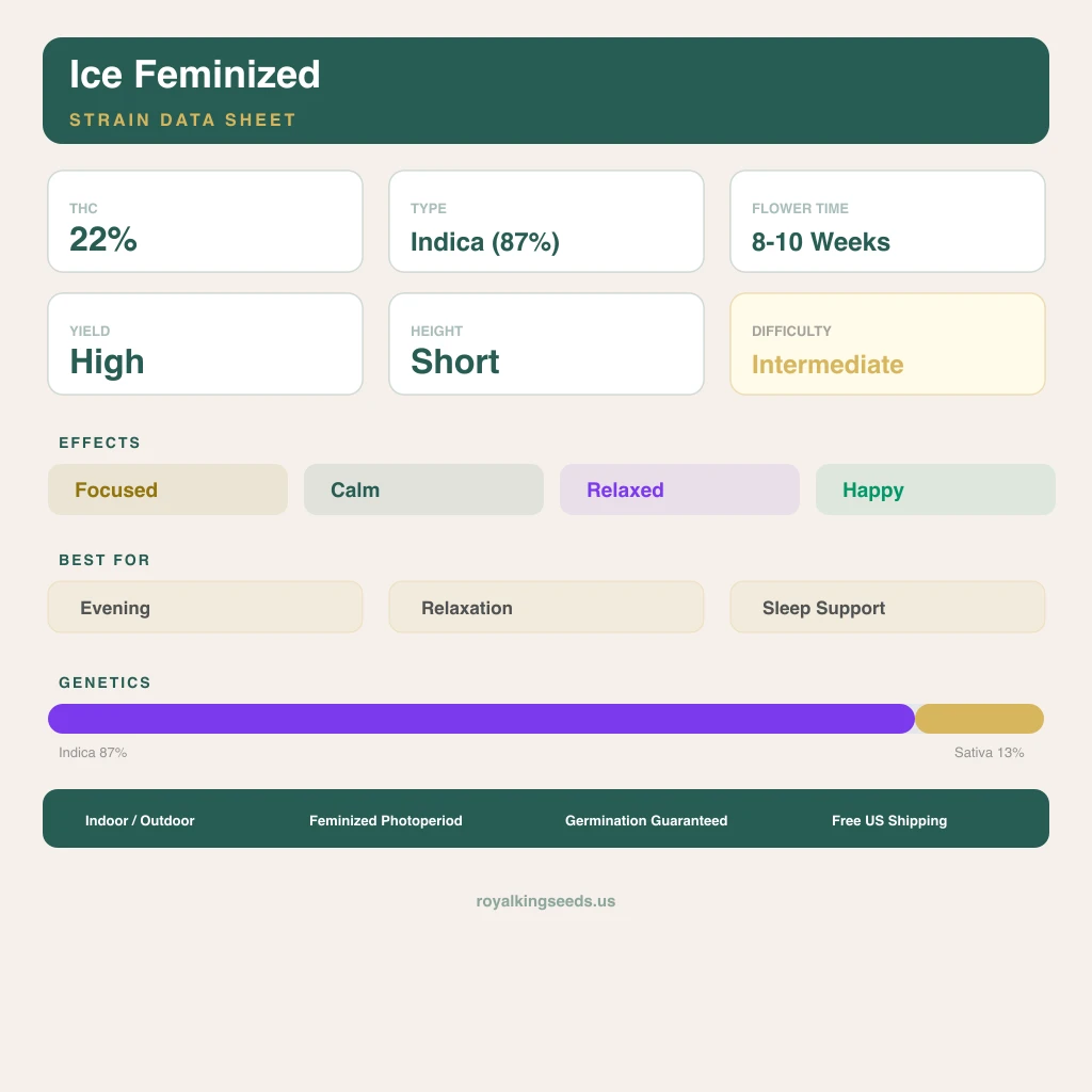 Ice 87% indica / 13% sativa — flor con tricomas visibles