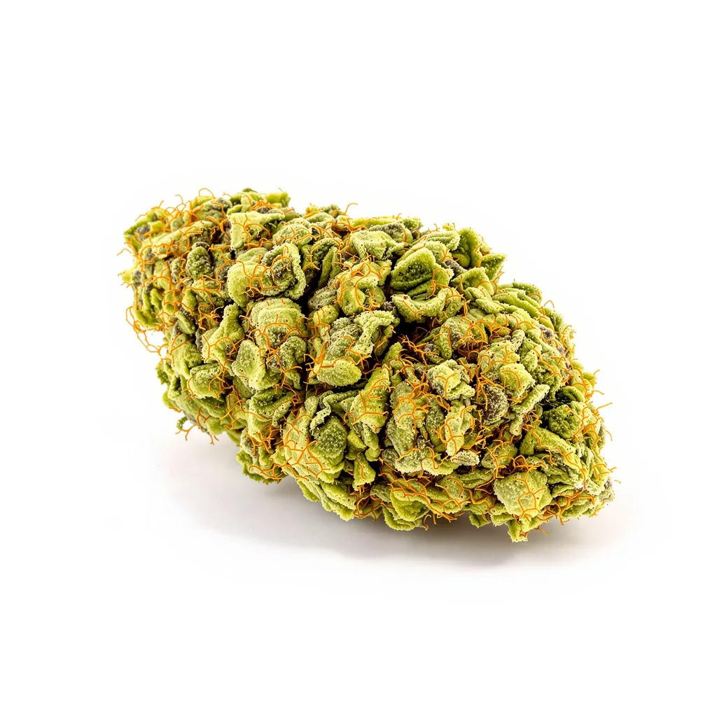 Industrial Plant 20% indica / 80% sativa — flor con tricomas visibles
