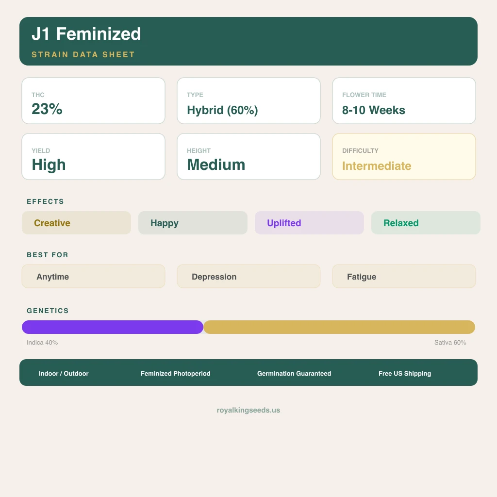 J1 40% indica / 60% sativa — flor con tricomas visibles