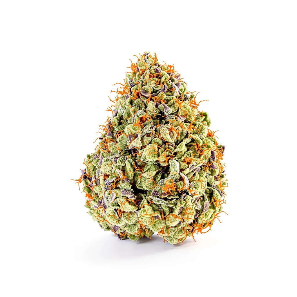 J1 40% indica / 60% sativa — flor con tricomas visibles