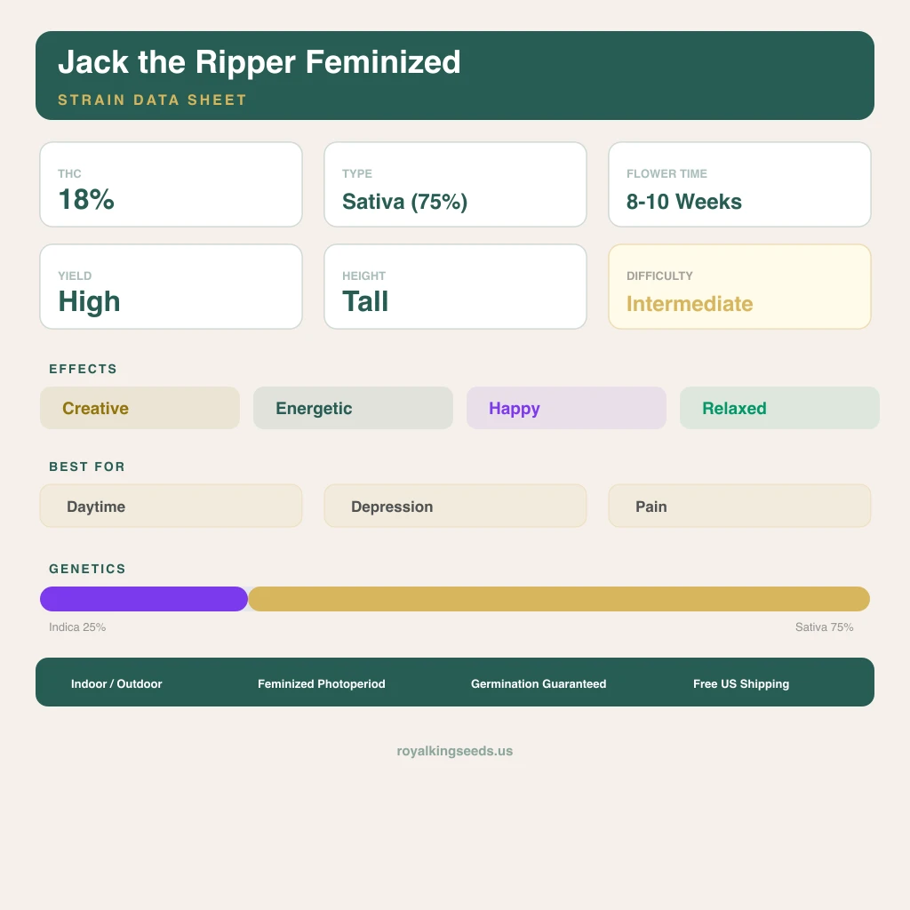Jack the Ripper 25% indica / 75% sativa — flor con tricomas visibles