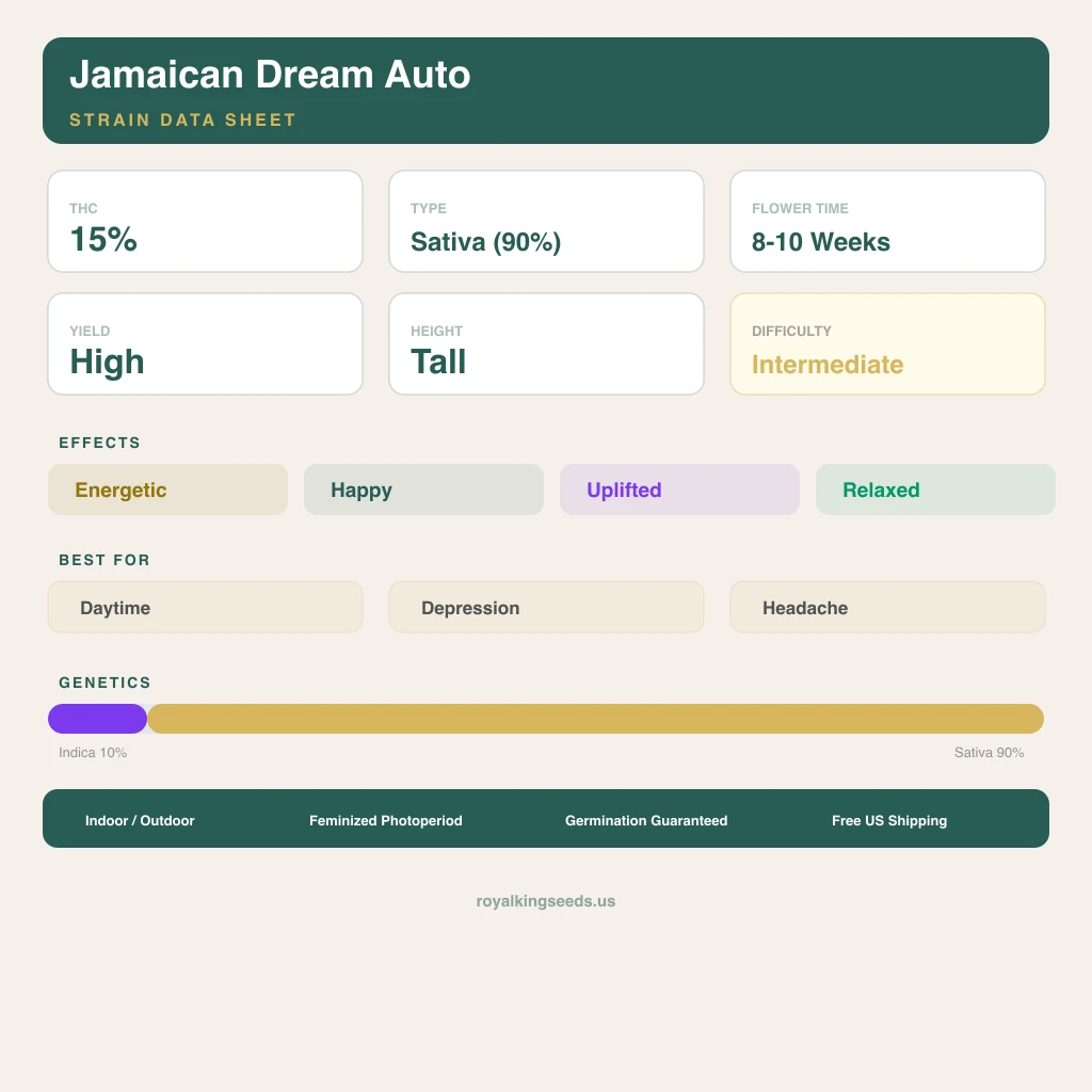 Jamaican Dream 10% indica / 90% sativa — flor con tricomas visibles