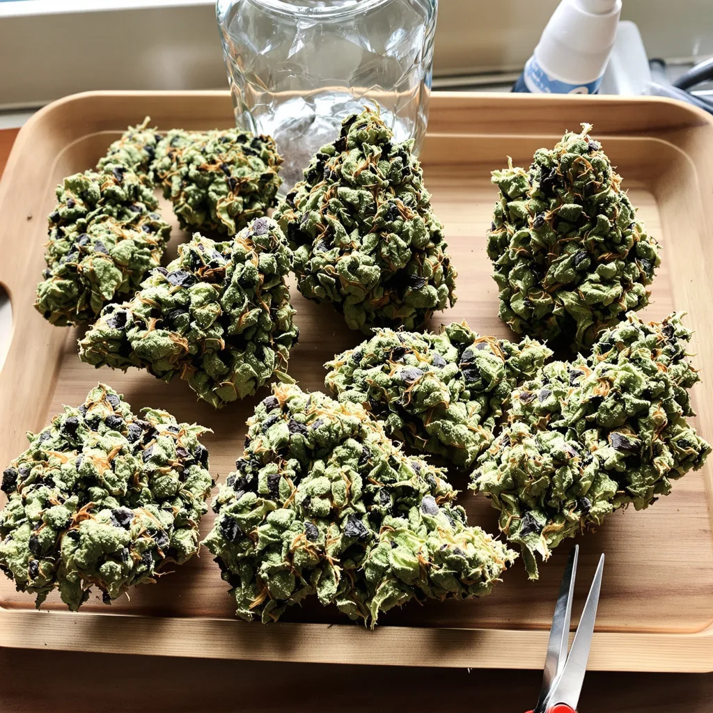 Jean Guy 40% indica / 60% sativa — flor con tricomas visibles