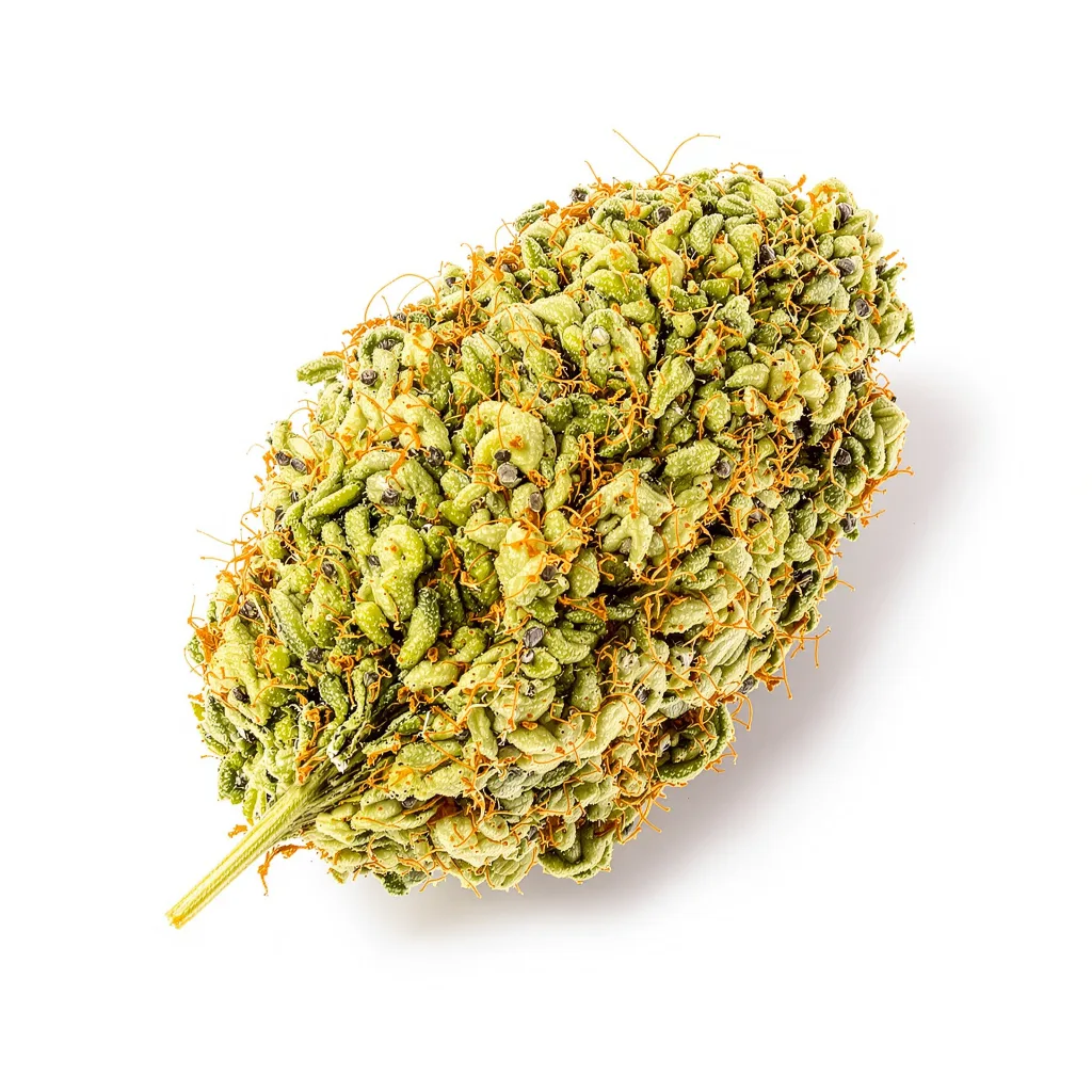 Jesus OG 30% indica / 70% sativa — flor con tricomas visibles