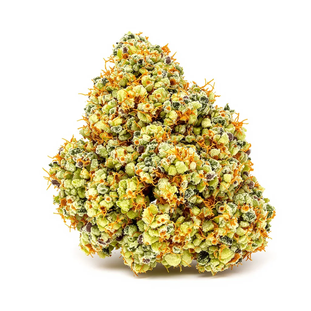 Jesus OG 30% indica / 70% sativa — flor con tricomas visibles
