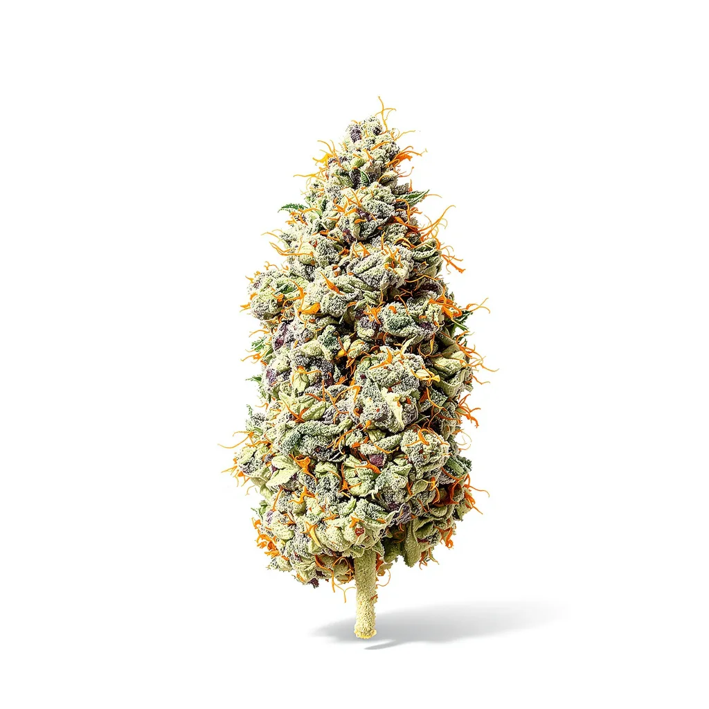 Jillybean 40% indica / 60% sativa — flor con tricomas visibles