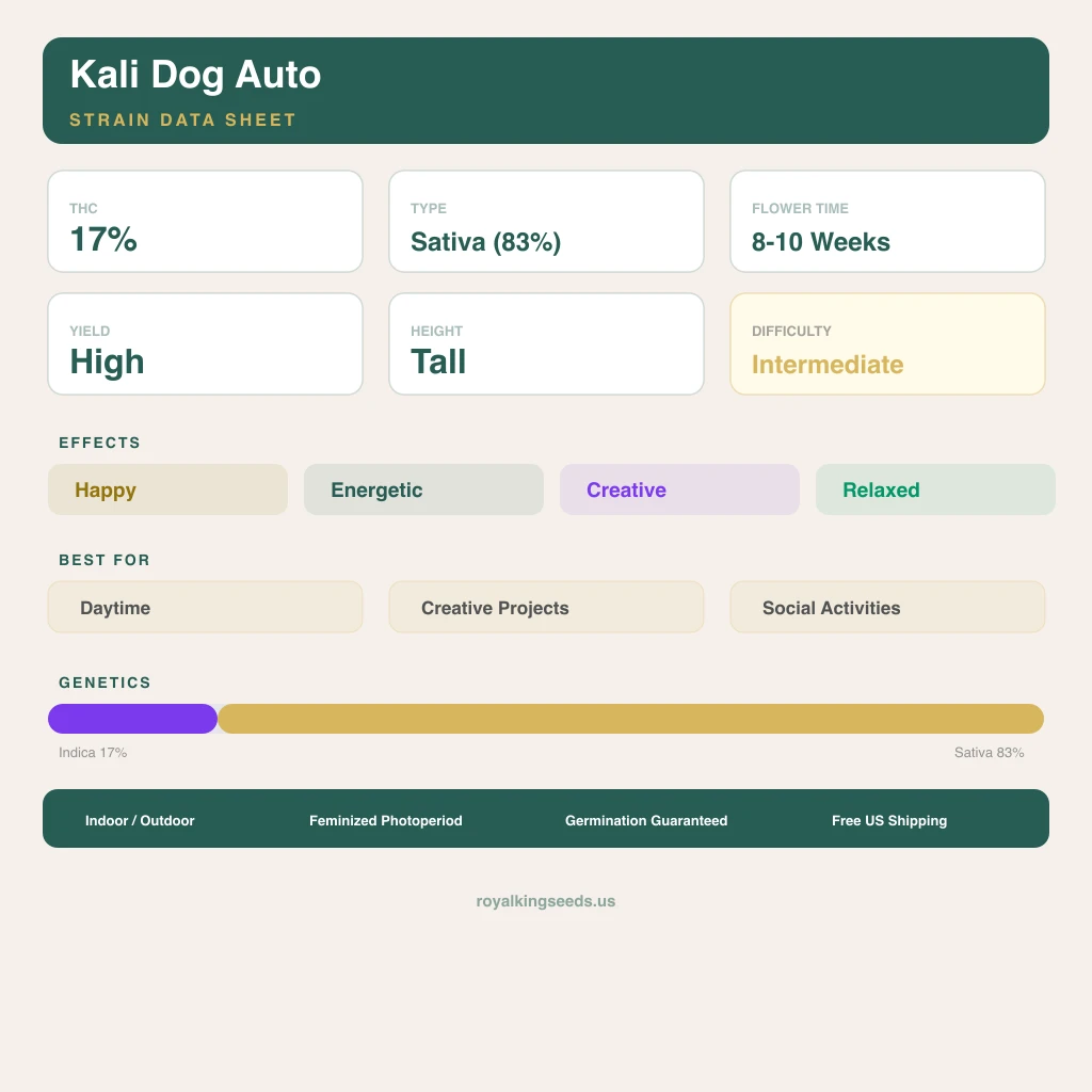 Kali Dog 17% indica / 83% sativa — flor con tricomas visibles