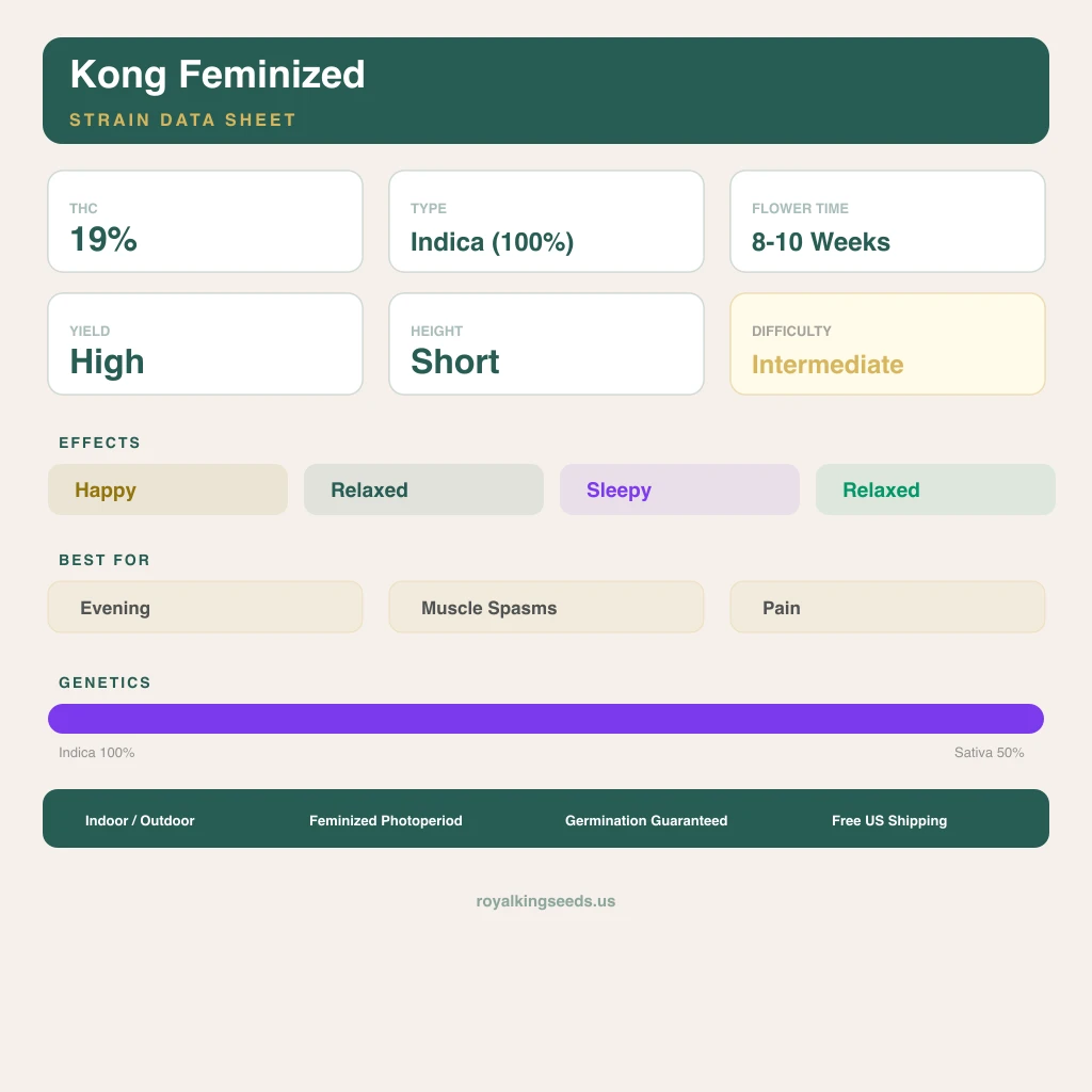 Kong 100% indica / 50% sativa — flor con tricomas visibles