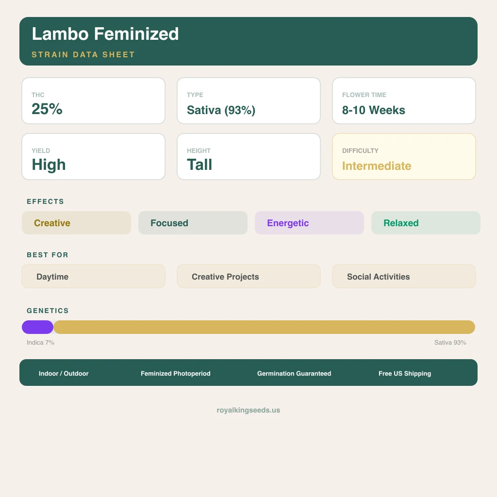 Lambo 7% indica / 93% sativa — flor con tricomas visibles