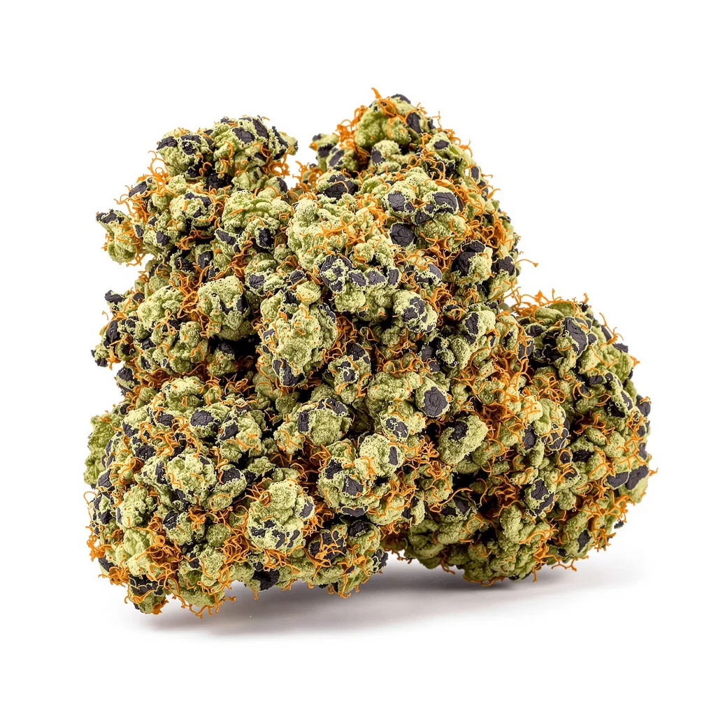 Lee Roy 69% indica / 31% sativa — flor con tricomas visibles