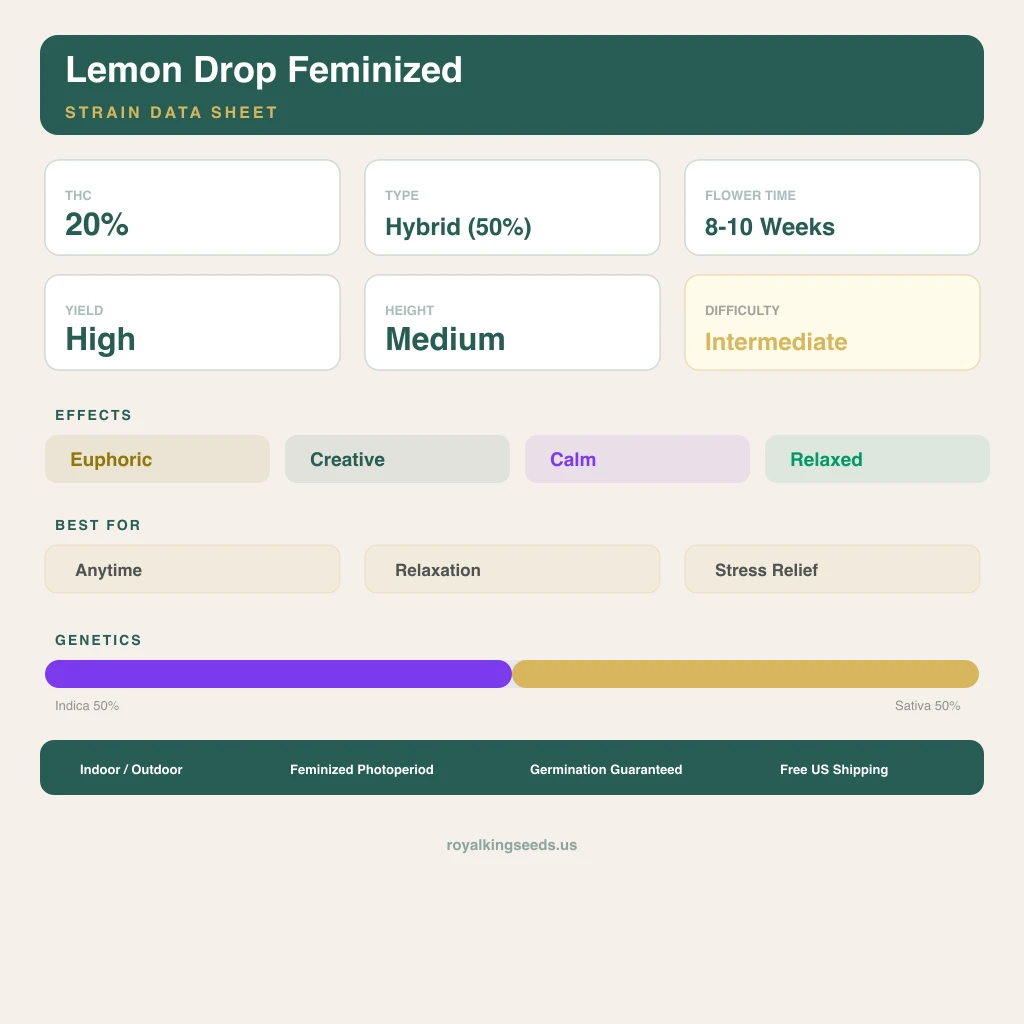 Lemon Drop 50% indica / 50% sativa — flor con tricomas visibles