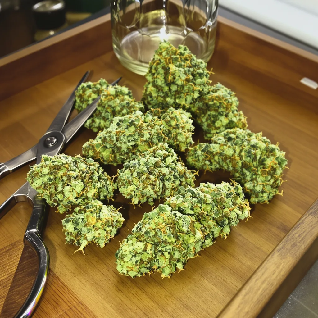 Lemon G 25% indica / 75% sativa — flor con tricomas visibles