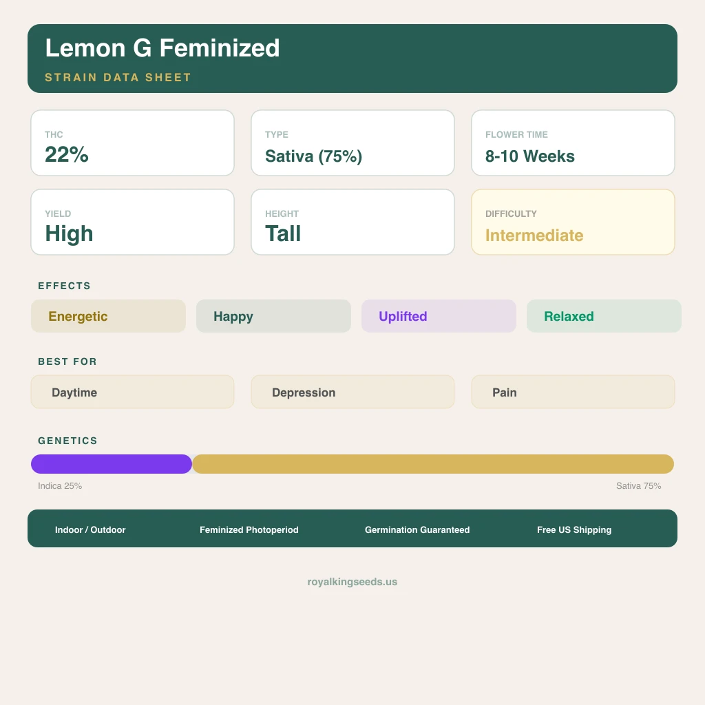 Lemon G 25% indica / 75% sativa — flor con tricomas visibles