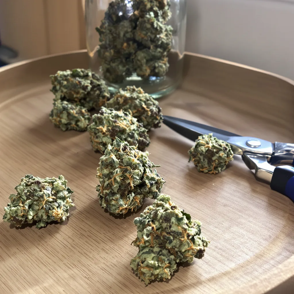 Lemon Thai 60% indica / 50% sativa — flor con tricomas visibles