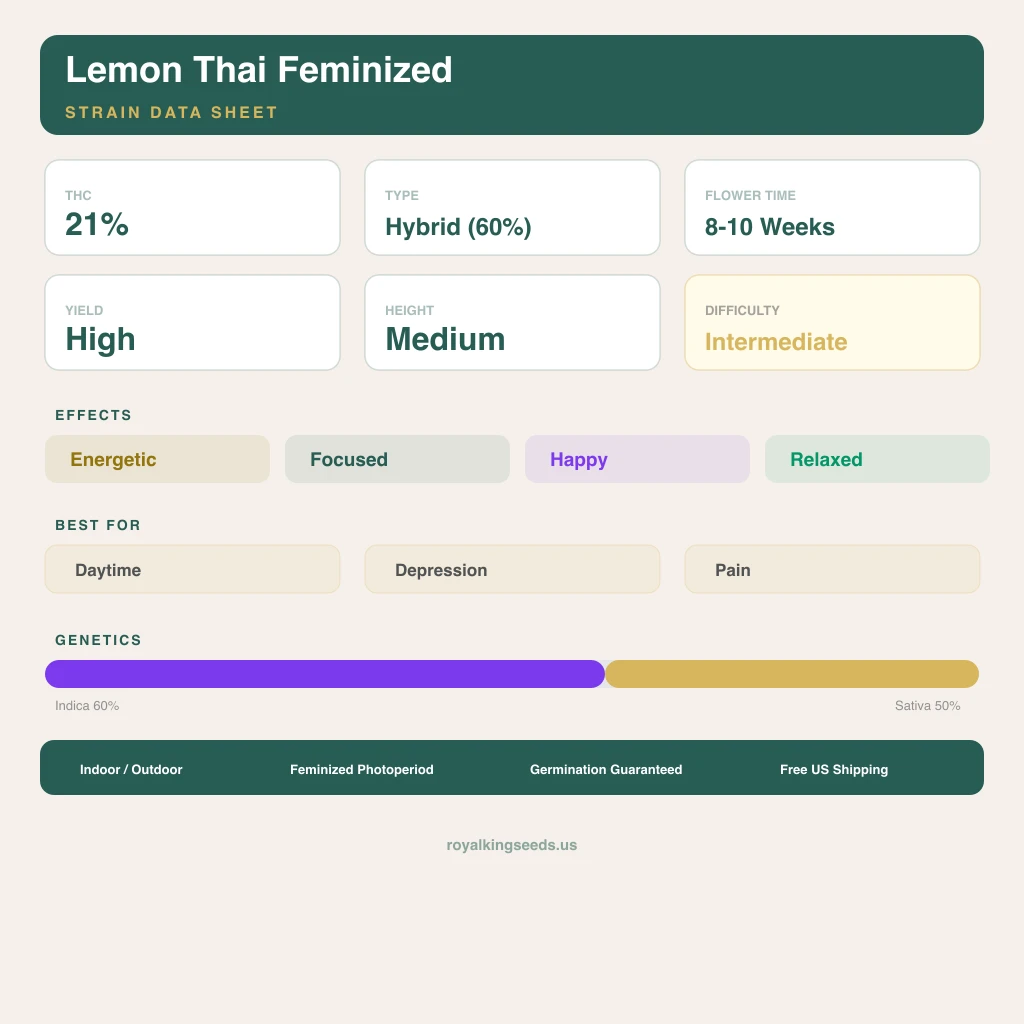 Lemon Thai 60% indica / 50% sativa — flor con tricomas visibles