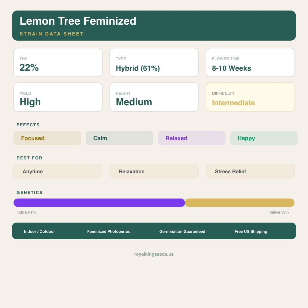 Lemon Tree 61% indica / 39% sativa — flor con tricomas visibles