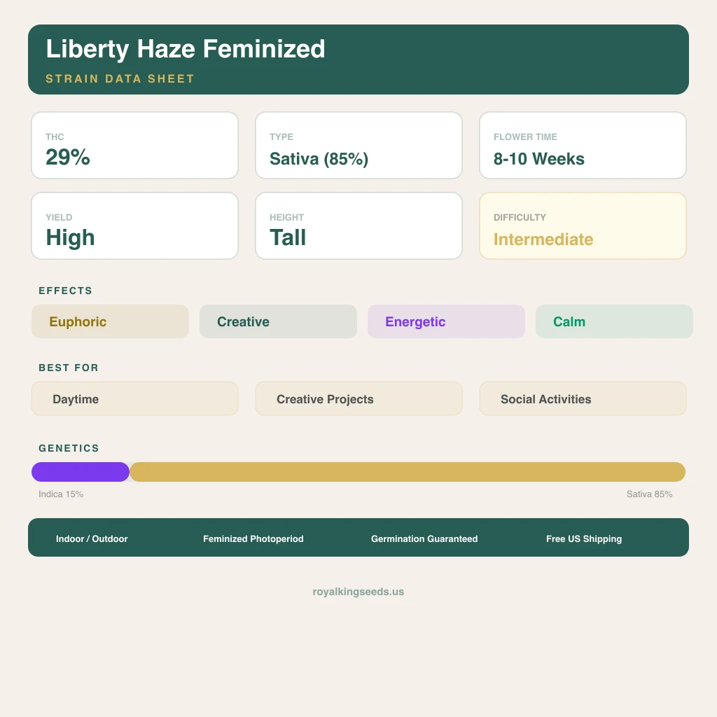 Liberty Haze 15% indica / 85% sativa — flor con tricomas visibles