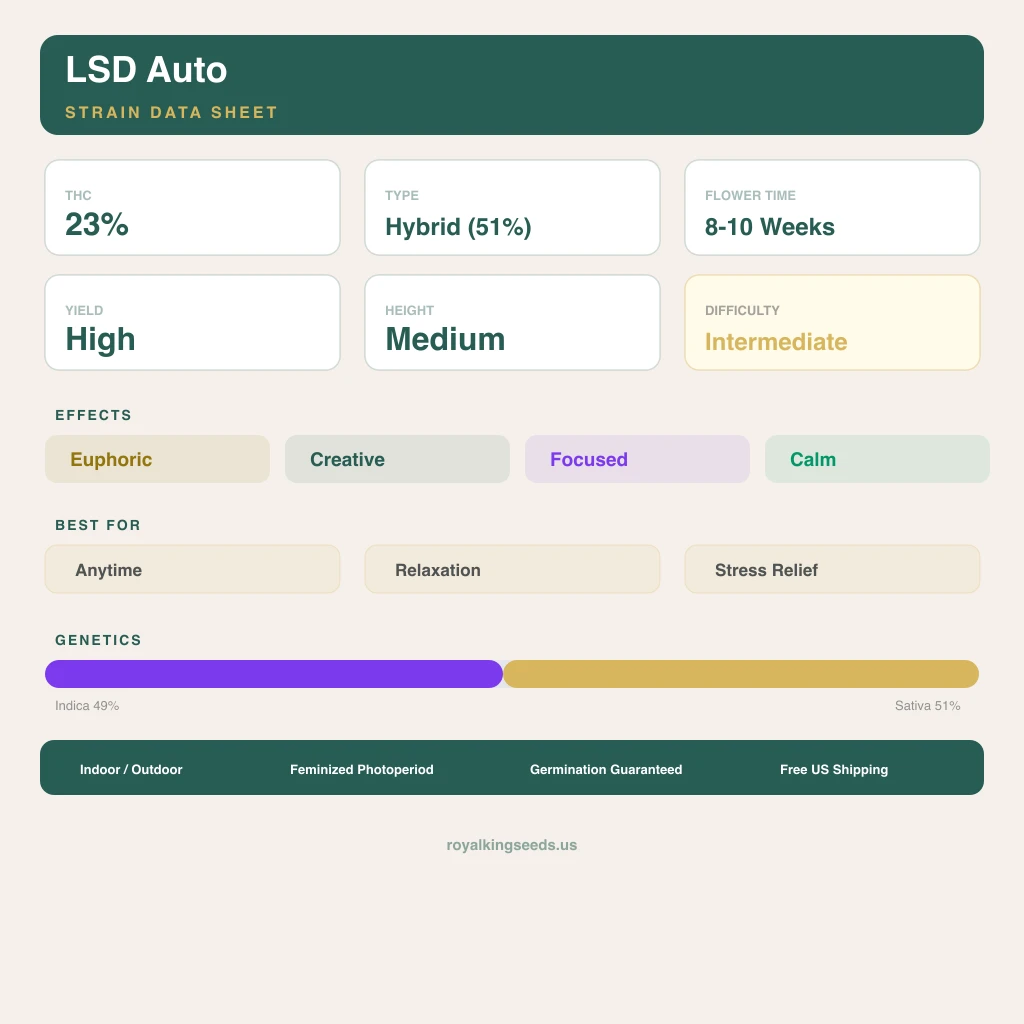 LSD 49% indica / 51% sativa — flor con tricomas visibles