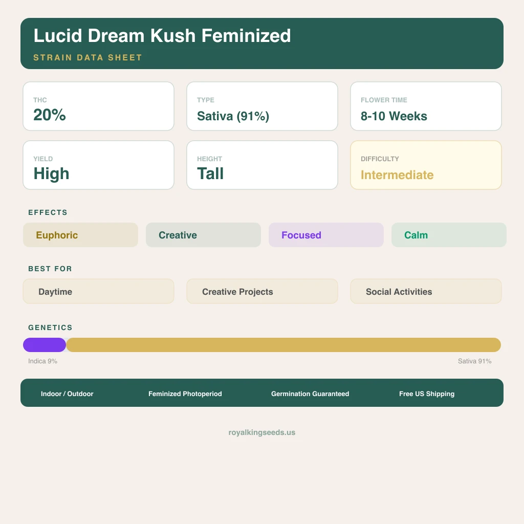 Lucid Dream Kush 9% indica / 91% sativa — flor con tricomas visibles