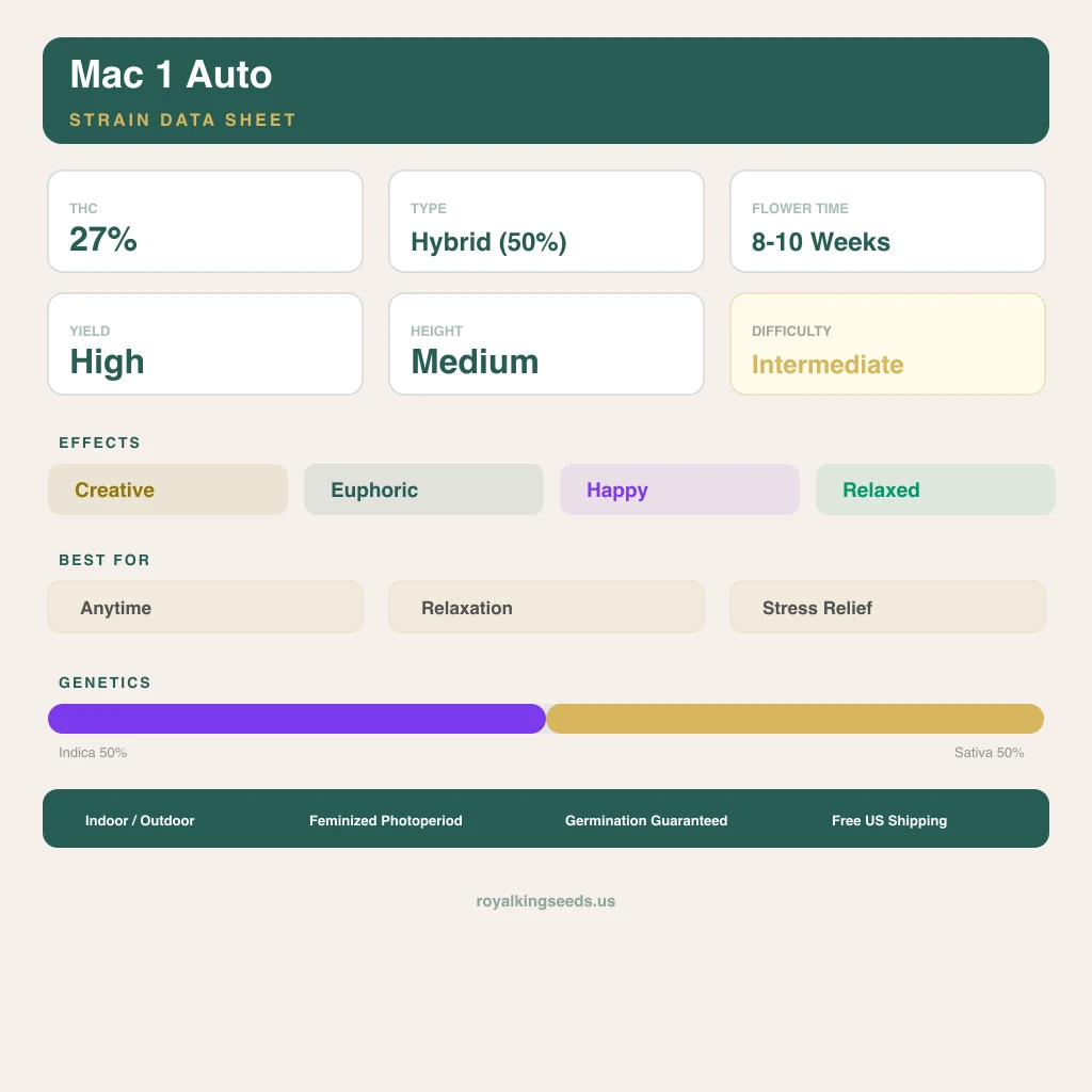 Mac 1 50% indica / 50% sativa — flor con tricomas visibles