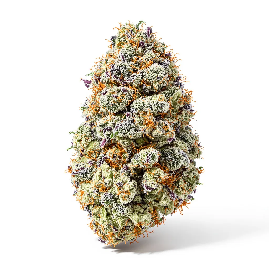 Mandarin 36% indica / 64% sativa — flor con tricomas visibles