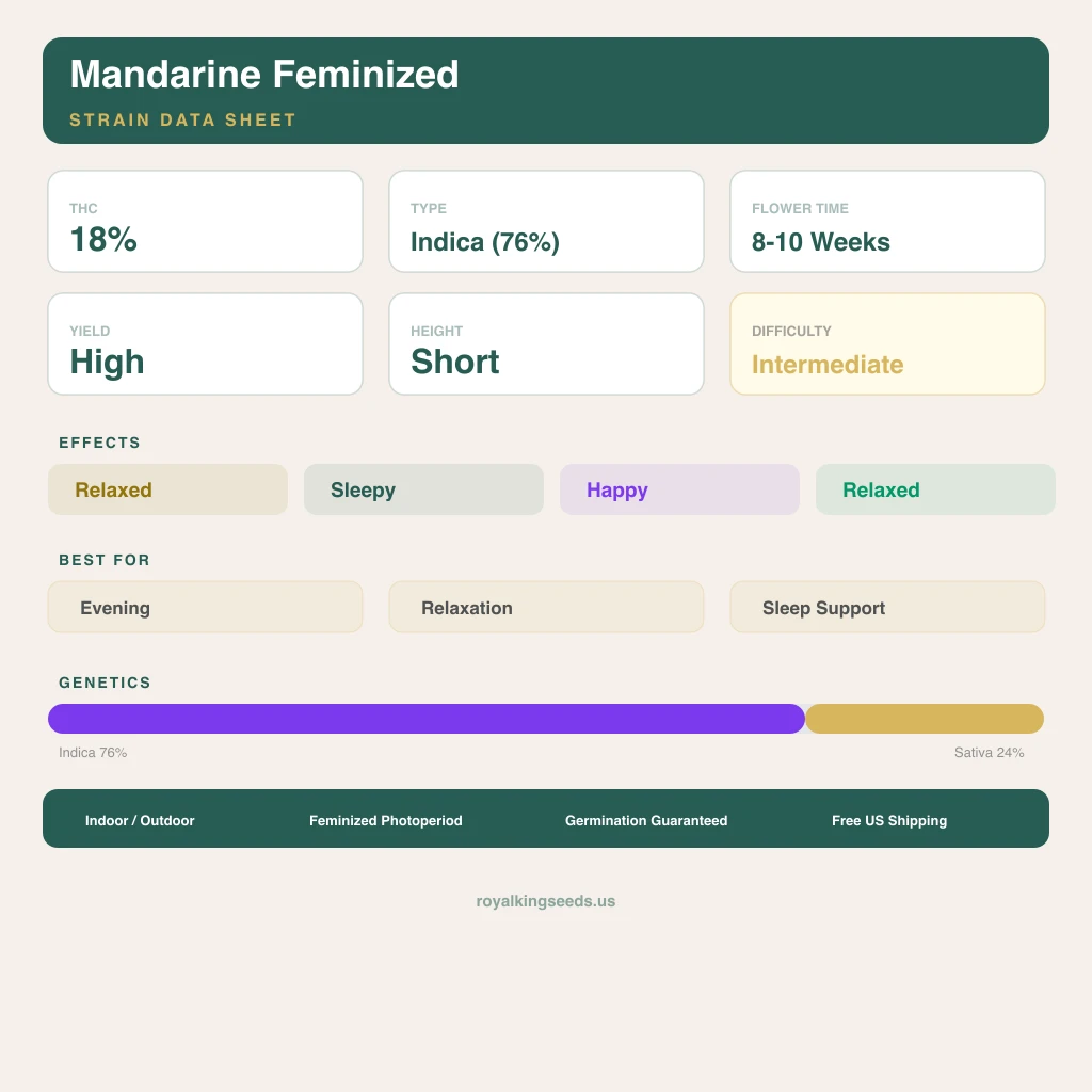 Mandarine 76% indica / 24% sativa — flor con tricomas visibles