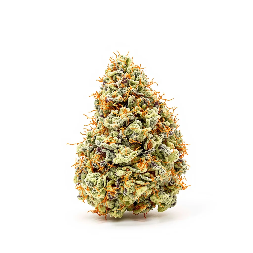 Mango Haze 40% indica / 60% sativa — flor con tricomas visibles