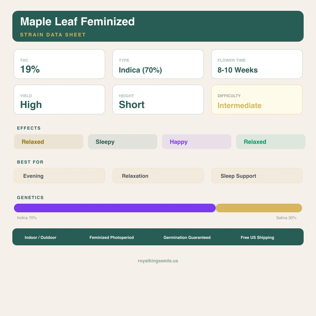 Maple Leaf 70% indica / 30% sativa — flor con tricomas visibles