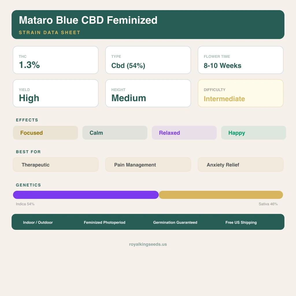 Mataro Blue CBD 54% indica / 46% sativa — flor con tricomas visibles