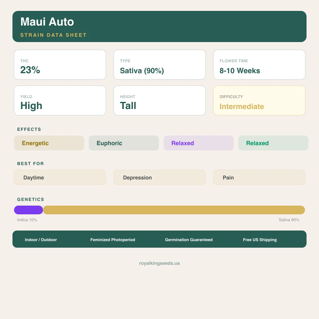 Maui 10% indica / 90% sativa — flor con tricomas visibles