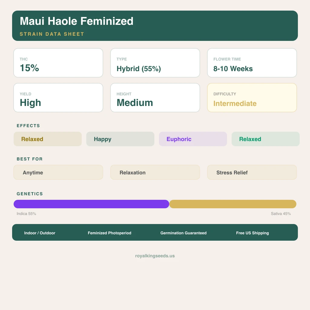 Maui Haole 55% indica / 45% sativa — flor con tricomas visibles