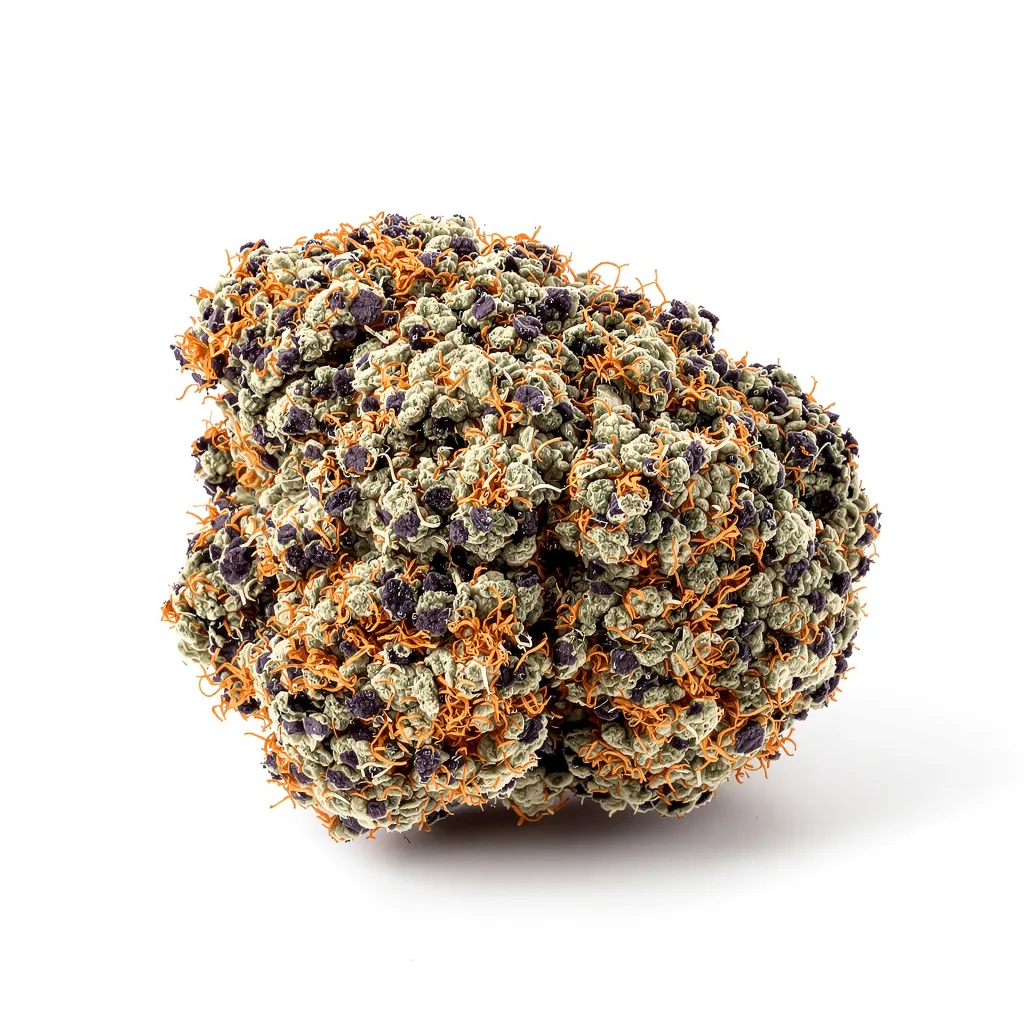Mazar 73% indica / 27% sativa — flor con tricomas visibles
