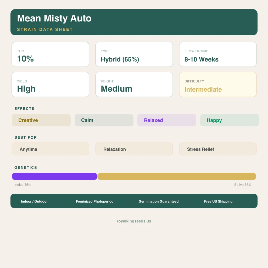Mean Misty 35% indica / 65% sativa — flor con tricomas visibles