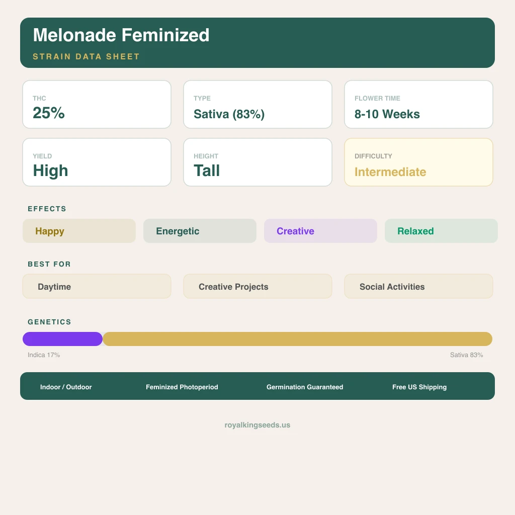 Melonade 17% indica / 83% sativa — flor con tricomas visibles