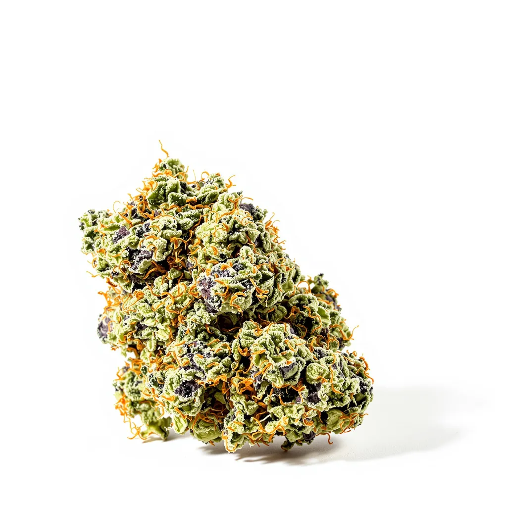 Mendocino Purps 62% indica / 38% sativa — flor con tricomas visibles