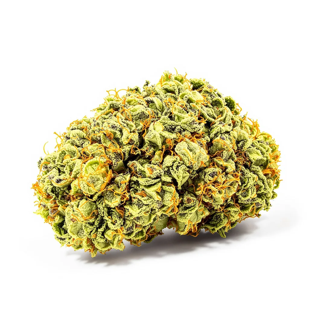 Mickey Kush 25% indica / 75% sativa — flor con tricomas visibles
