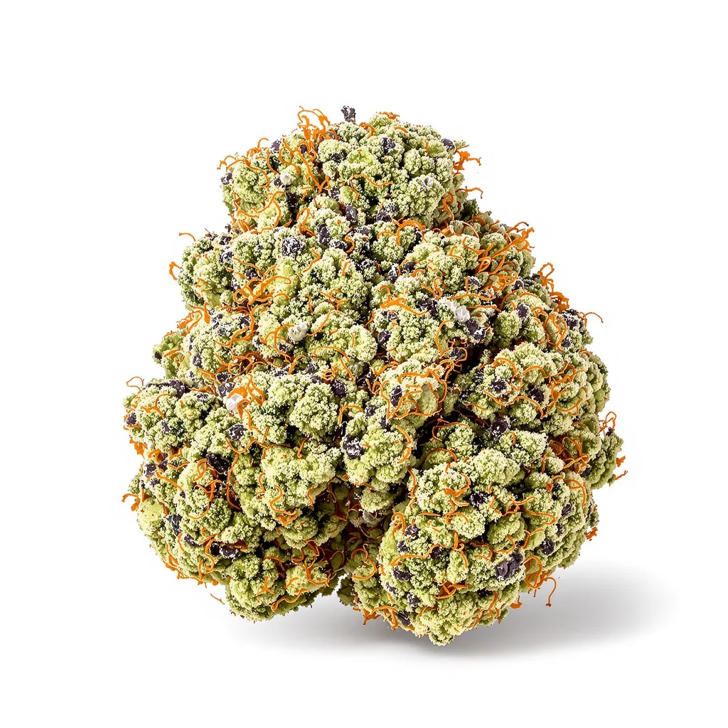 Mother’s Helper 49% indica / 51% sativa — flor con tricomas visibles