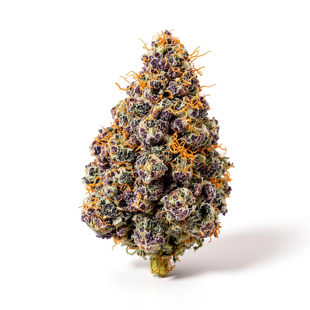 Mr. Nice 68% indica / 32% sativa — flor con tricomas visibles
