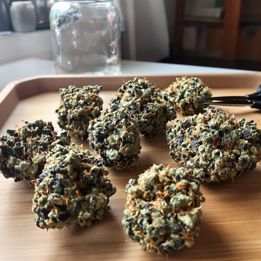 New Glue 80% indica / 20% sativa — flor con tricomas visibles